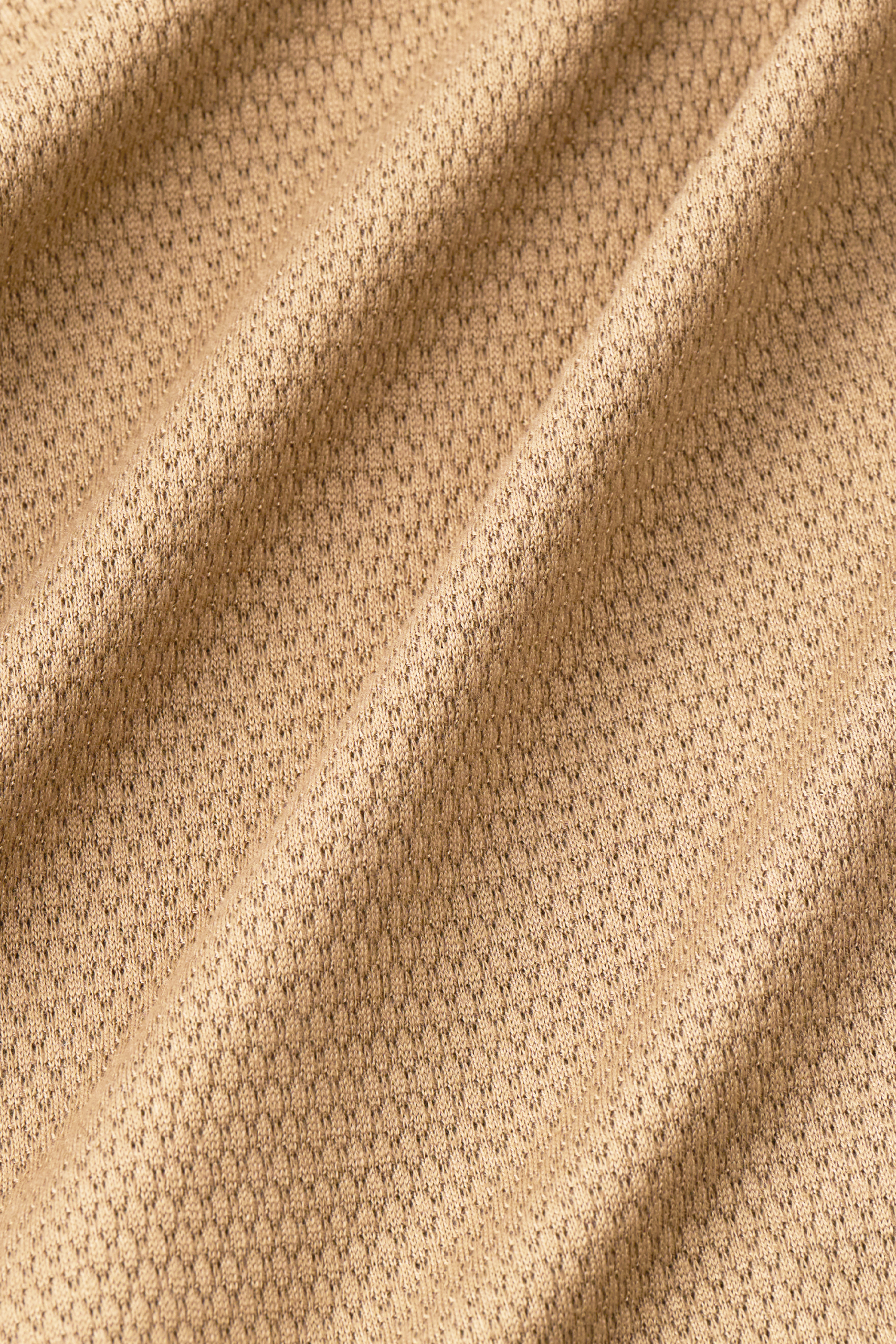camel_LSP003_Fabric_2025.png