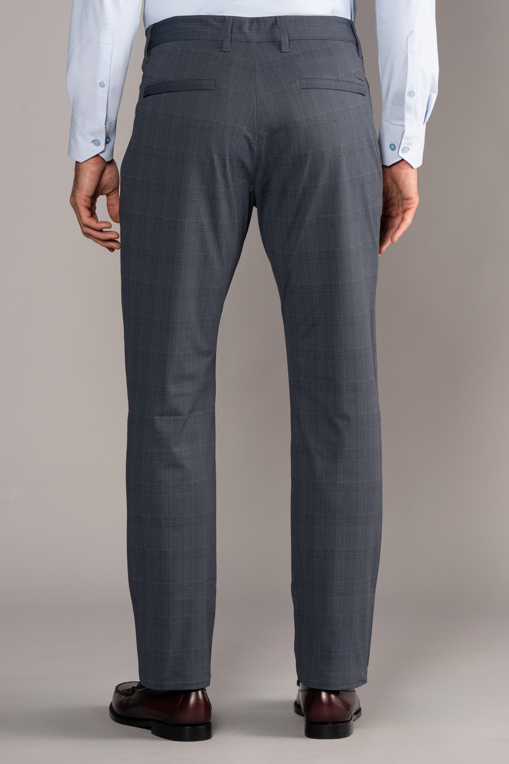 grey_prince_of_wales_PCP040_R_2025.png